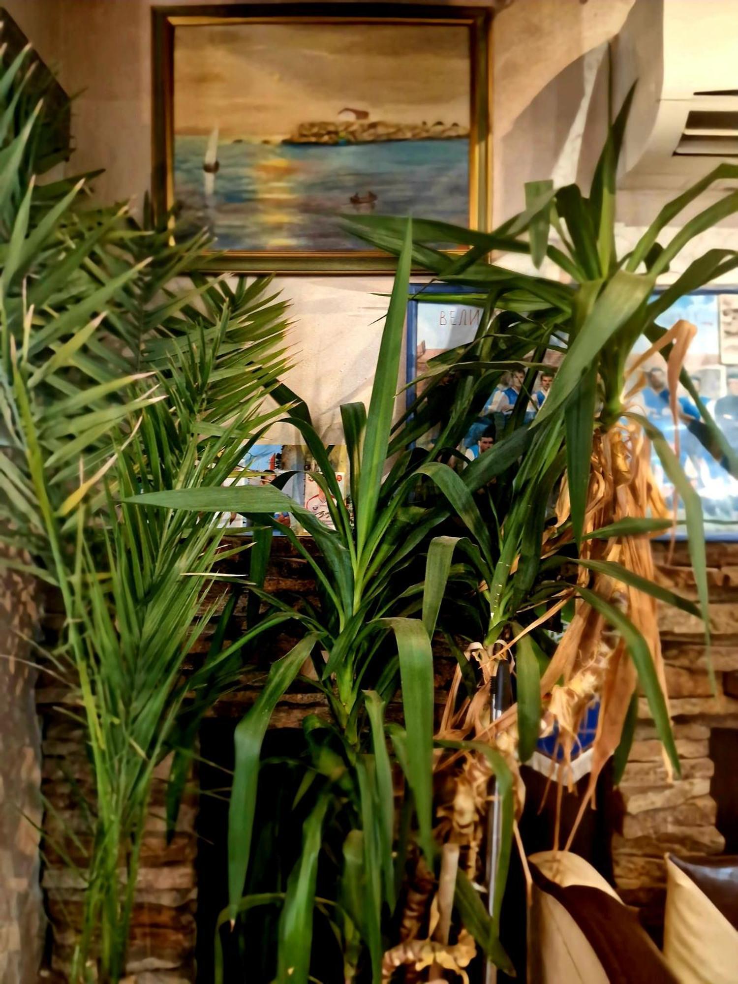 Family Hotel Four Seasons Tsarevo Esterno foto